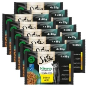 Sheba Natures Collection Konzervi piletina u želeu 12 x (4 x 85 g)