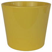 Embalaža 811 primrose Zitro glanz 13 cm - 6 kosov
