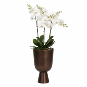 Cvetlični lonec Lauren bakrena barva D18H28 - bakrena - 25 do 50 cm - do 30 cm
