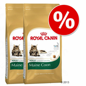 Varčno pakiranje 2 x Royal Canin Breed - Sphynx Adult (2 x 10 kg)