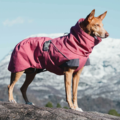 Hurtta | Expedition Parka zimski plašč za psa Rdeč