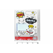 Eurofolie A4 - mat