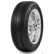 DAVANTI Wintoura ( 215/65 R16 98H )