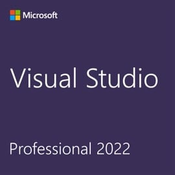 Microsoft Visual Studio Professional 2022 (DG7GMGF0D3SJ-0003)