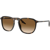 Ray-Ban RB2203 902/51