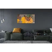 tulup.si Stenska plošča za kuhinjo Pisani metulj cvet 140x70 cm