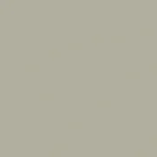 Kremasta polsijajna akrilna barva Pentart 60 ml | izberite odtenek - beige