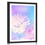 Plakat s paspartujem cvetovi krizanteme - 20x30 silver
