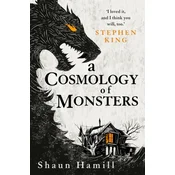 Cosmology of Monsters