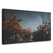 shumee Platno s tiskom Krošnje pomarančevcev 100x60