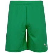 Puma Hlače zelena 192 - 197 cm/XXL Teamrise