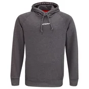 Otroški pulover CCM Team Fleece Pullover Hoodie Dark Grey M