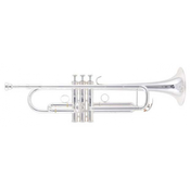 Trobenta YTR-8345RGS 04 Yamaha