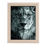 Goldbuch TOSCANA NATURE MDF okvir 13x18 ff