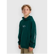 Quiksilver Stretch Tribal Kids Hoodie botanical garden