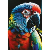 Interdruk - Puzzle Colourf.Nature: Papiga - 250 kosov