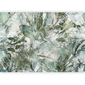 artgeist Fototapeta Light Dew, 250x175cm