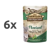 Carnilove Cat WMM Adult - fazan & listi maline, 85 g 6 x 85 g