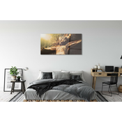 tulup.si Slika na akrilnem steklu Jezus iz lesa 125x50 cm 4 obešalnika
