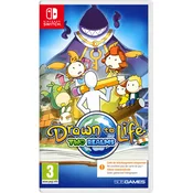 Drawn to Life Two Realms - koda v škatlici (SWITCH)