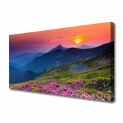 tulup.si Slika na platnu Mountain travnik flowers landscape 100x50 cm