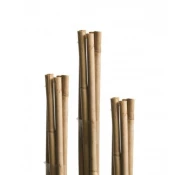 Windhager bambus A!tap 150cm ( WH 05609 )