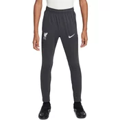 Nike Hlače LFC Y NK DF ACDPR PANT KPZ ESN