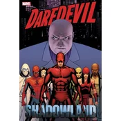 DAREDEVIL SHADOWLAND OMNI CASSADAY COVER