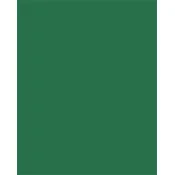 Ukrasna kartica, obostrana, A4, 220 g, 100 listova, FOLIA, bor-zelena 6122/4/58