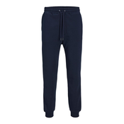 Jack & Jones  Spodnji deli trenirke JPSTGORDON JJBRADLEY SWEAT PANT GMS  pisana