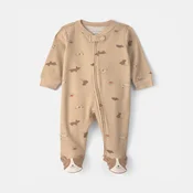 Carters zeka dr, decaci