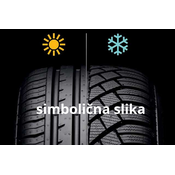 Zimska SEBRING 205/75R16 110R FORMULA VAN+ WINTER (201)