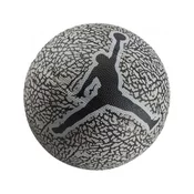Nike Žoge košarkaška obutev siva 3 Skills 2.0 Graphic Mini Ball