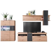 Livetastic DNEVNI REGAL, antracit, prozorno, barve hrasta