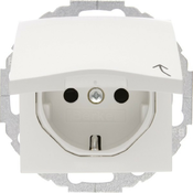 Berker Berker SCHUKO vtičnica pws/gl 47448989, (20888227)