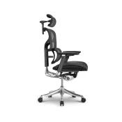 Ergovision Pisarniški stol Smart Plus Pro