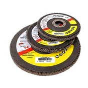 STRONG LAMELARNI DISK KONUSNI - 180x22mm - P40