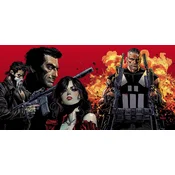 Marvel Knights: Punisher
