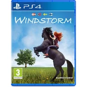 Windstorm (PS4) - rabljeno