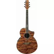 IBANEZ EW20BGE-NT elektro-akustična kitara