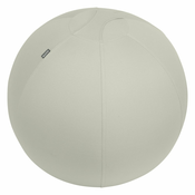 Ergonomska lopta za sjedenje s utezima o 65 cm Ergo – Leitz