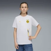 Borussia Dortmund PumaTECH Pocket Tee Youth, Gray, Size 7-8Y, Clothing