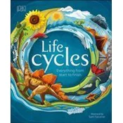 Life Cycles