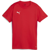 Dres Puma teamGOAL Jersey W