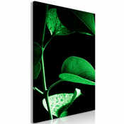 Slika - Plant in Black (1 Part) Vertical 80x120