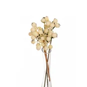 Lilium grana krem bobice set/2 N12465
