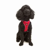PAWS & WHISKERS Am za pse Air Mesh Garnet XS