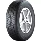 GISLAVED zimska pnevmatika 205 / 55 R16 91T Eurofrost 6