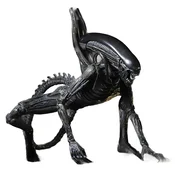shumee Zbirateljska akcijska figura Alien Xenomorph 18 cm