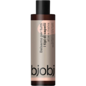 Bjobj Regenerator za kosu s aloe verom i sljezom - 150 ml